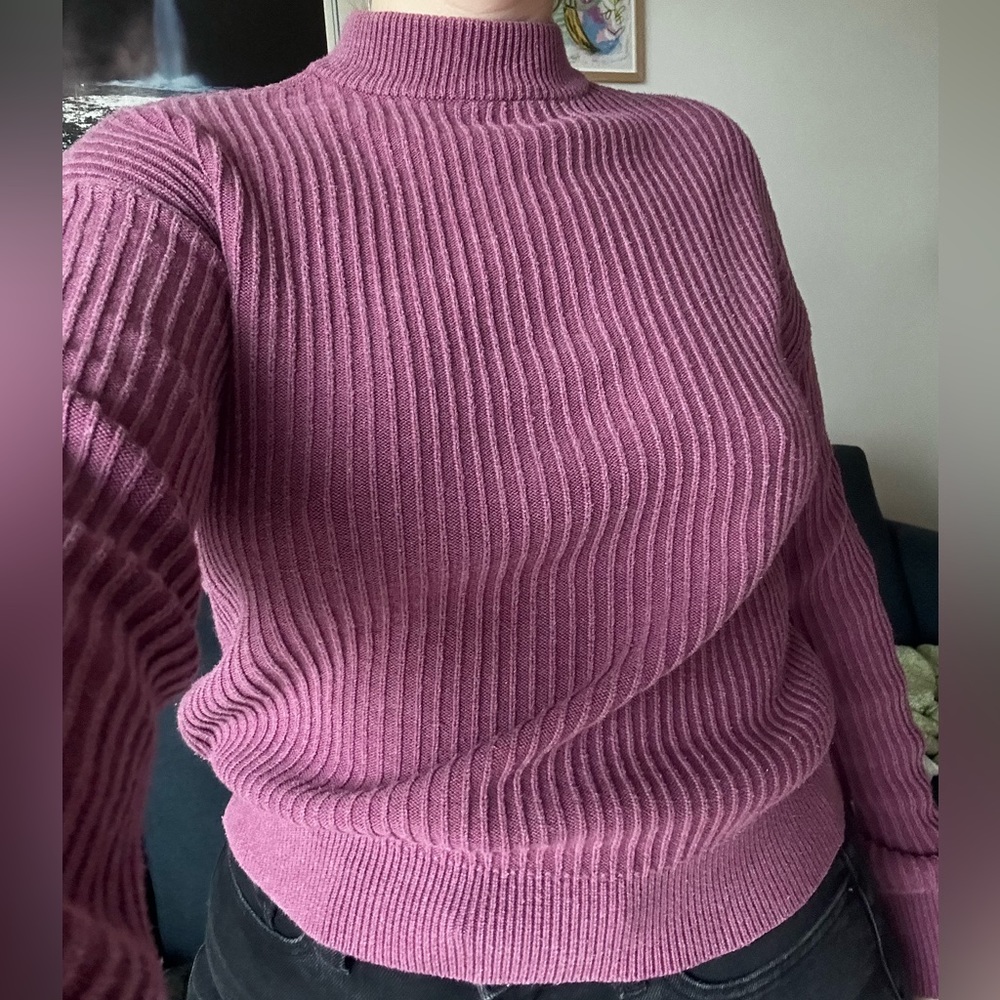 Frank and Oak seawool ribbed mock neck sweater